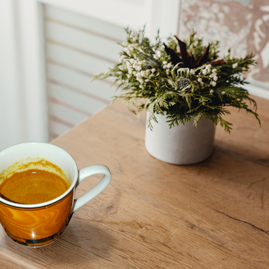 TurmeriX® Honey Lemon Shot