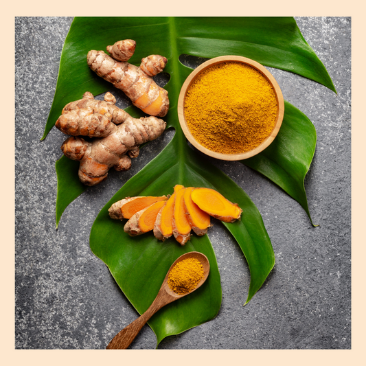 Seasonal Allergies & TurmeriX®